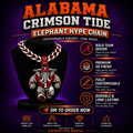Alabama Crimson Tide